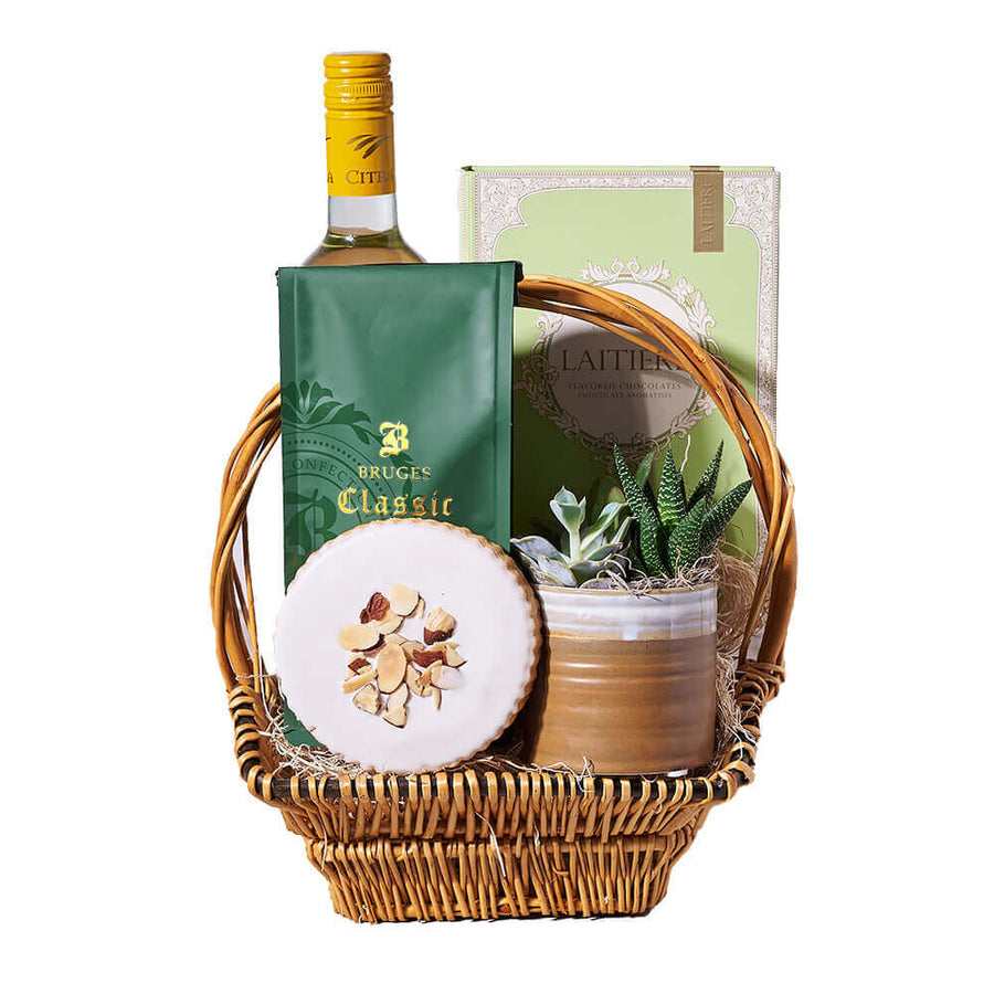 Abruzzo Citra Pinot Grigio Wine Gift Basket, wine gift, wine, gourmet gift, gourmet, plant gift, plant