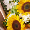 Eternal Sunshine Sunflower Bouquet, assorted flower bouquet, sunflowers bouquet, sunflowers, floral. bouquet delivery canada, toronto