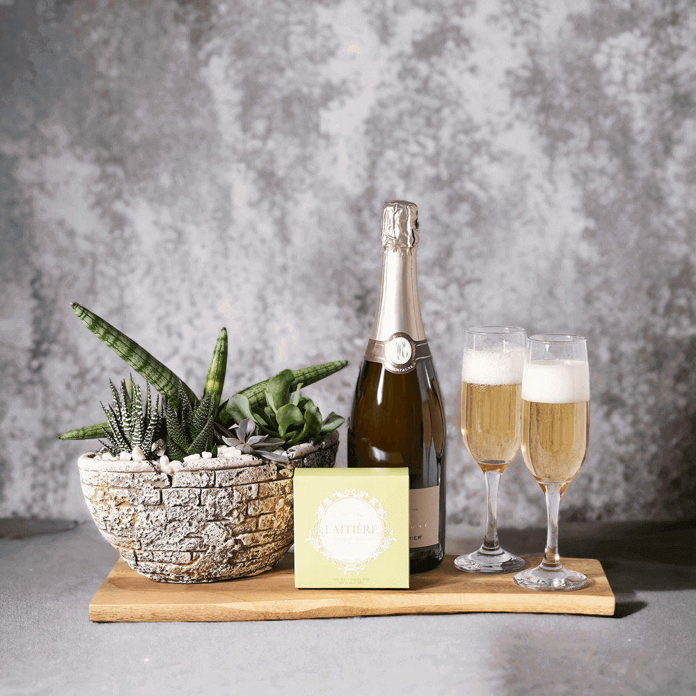 Brighten up your favorite nook with a cozy succulent arrangement that brings a breath of fresh air to any space and decadent chocolate truffles.