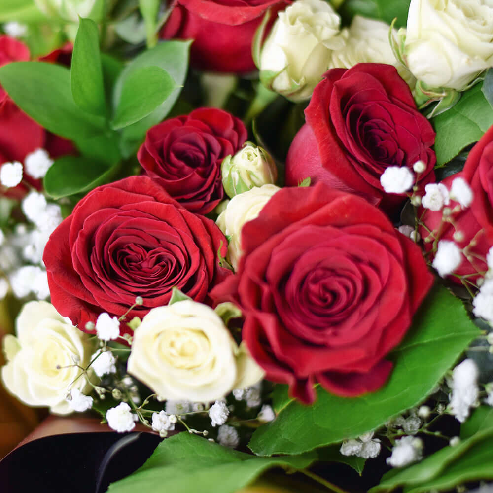 "Harmony Mixed Rose Bouquet" A great gift for your partner or loved ones! Combined with champagne, wine or chocolates and other gourmet delights.