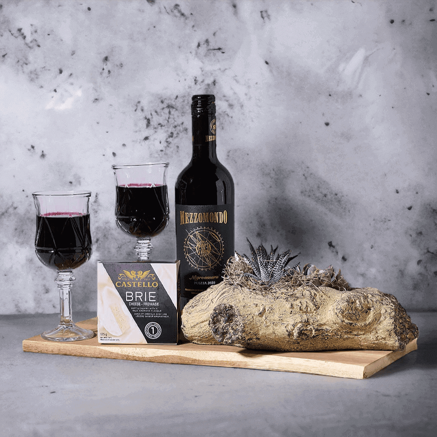 Pugliese Red Wine & Succulent Gift, wine gift, wine, gourmet gift, gourmet, plant gift, plant