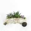A wonderfully rustic gift ideal for lending a bit of life to a space like a home or office, the Succulent Rock Garden from Monthly Sommelier is all about brings some of the outdoors indoors. 