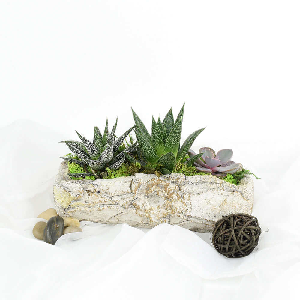 A wonderfully rustic gift ideal for lending a bit of life to a space like a home or office, the Succulent Rock Garden from Monthly Sommelier is all about brings some of the outdoors indoors.