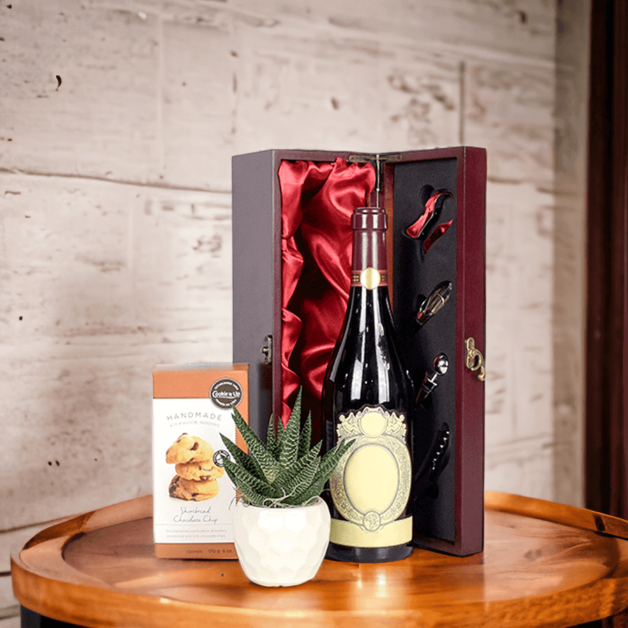 Wine & Succulent Gift Box